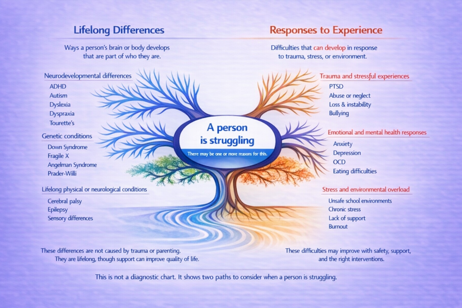 Diagram showing lifelong neuro differences and life experiences flowing together. Some struggles are lifelong, some can change, and many overlap.