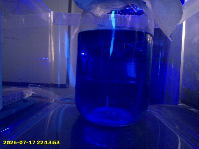 Latest copper sulphate crystal cam snapshot